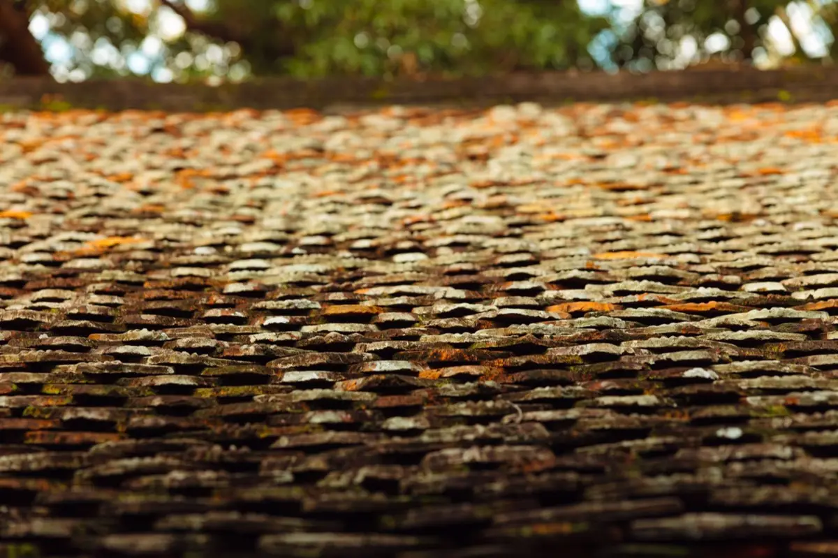 Roof Coatings & Sealing in Monroe, LA